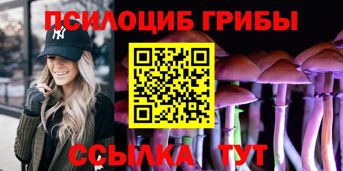 Сосновый Бор  Галлюциногенные грибы Cubensis  Вход с VPN 
