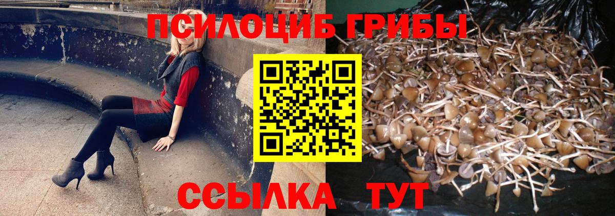 Меф мяу мяу Сосновый Бор
