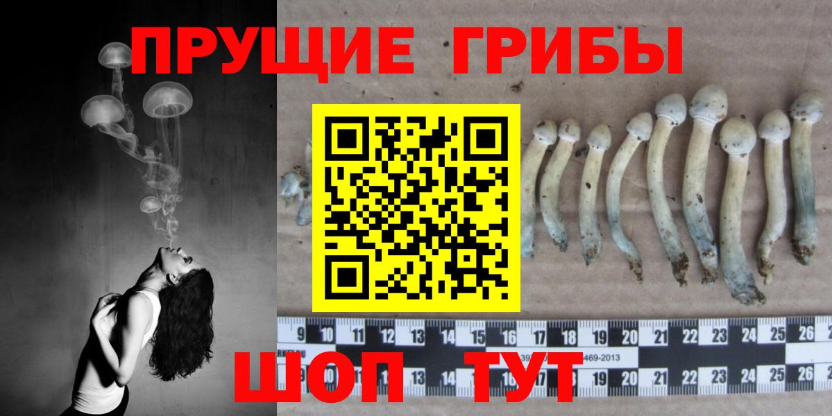 Псилоцибиновые грибы Magic Shrooms Сосновый Бор